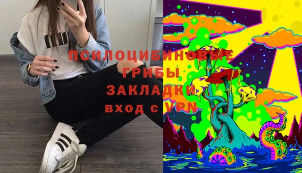 ешки Михайлов