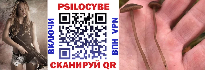 Галлюциногенные грибы ЛСД что такое Нелидово